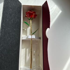 Gold Trimmed Red Rose in Gift Box